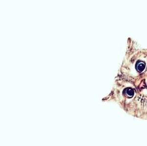 Meet your Posher, Cynthia